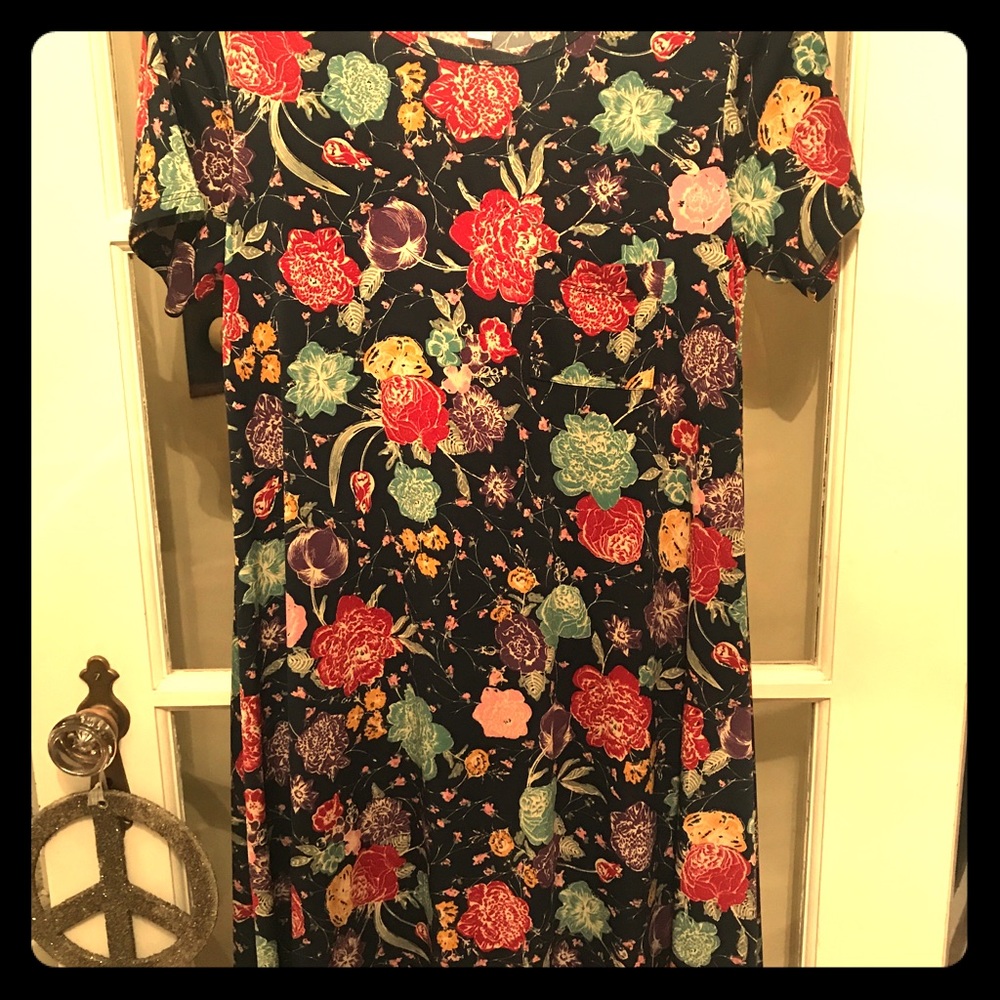 Lularoe xs Carly